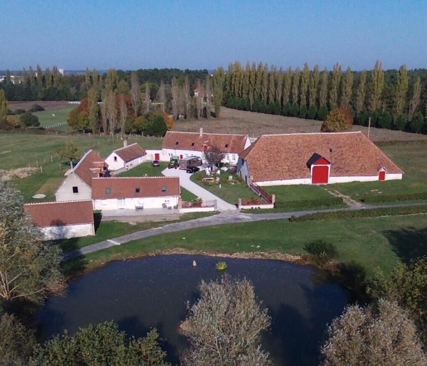 La Maison Des Biquettes Romorantin-Lanthenay Eksteriør bilde
